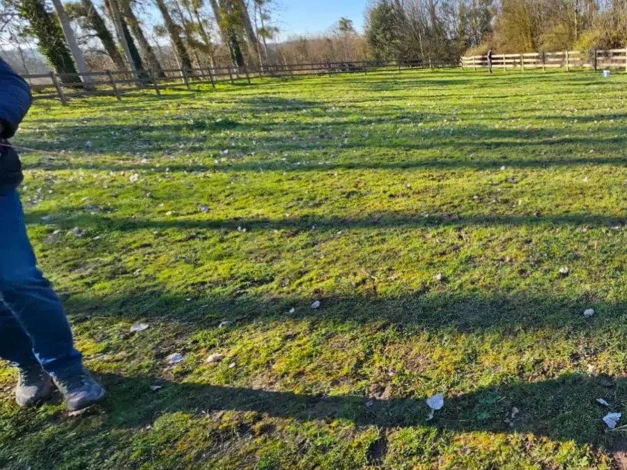 Quelle est la différence entre un vitrage anti-effraction et un vitrage classique ?